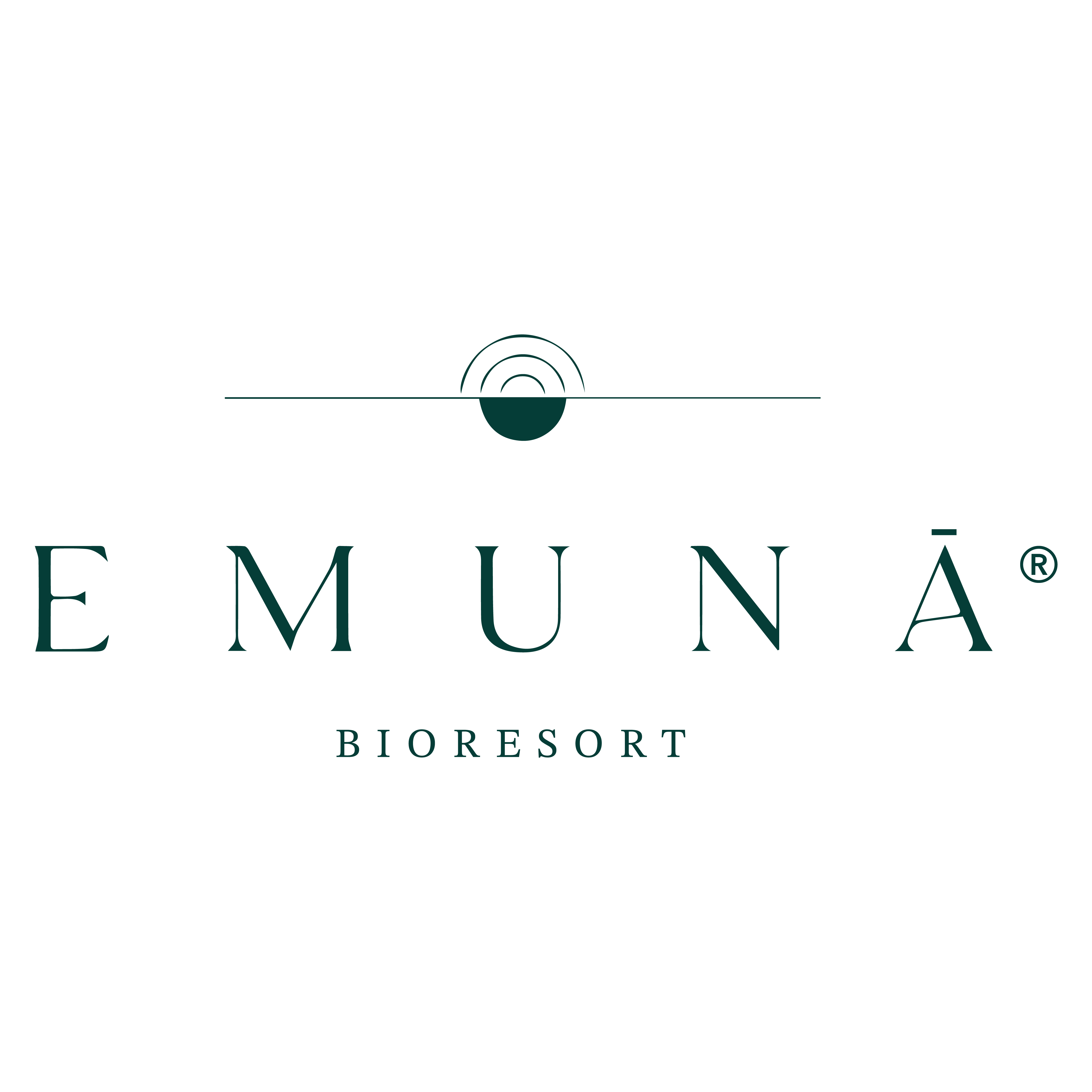 Logo Emuna